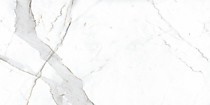 Dario Matt 1200х600х9мм /0,72 (1,44/2). Керамогранит матовый Primavera (48.96)