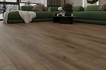 Виолет (Violet) 4V 33/10 Kastamonu