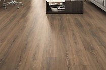 Вива (Viva) 4V 33/10 Woodstyle