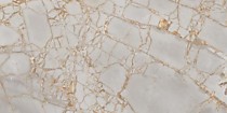 Golden Grey Polished 1200х600х9мм /0,72 (1,44/2). Керамогранит глянцевый Primavera (48.96)